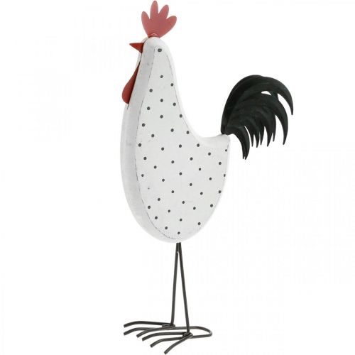 Floristik24 Coq déco bois pointillé blanc figurine décorative Pâques H30cm