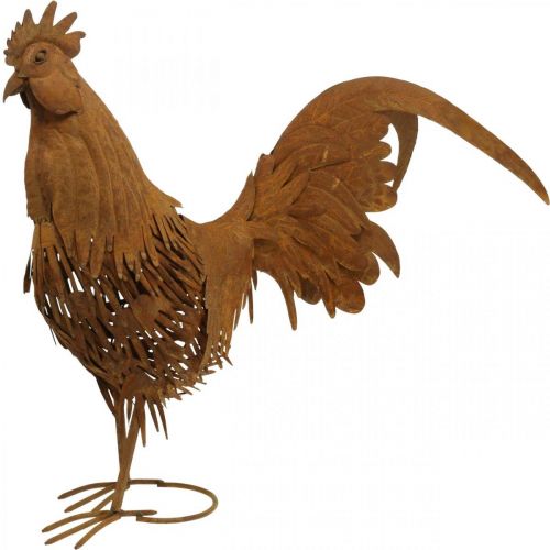 Floristik24 Coq rouillé jardin décoration patine décoration figure métal 58×13×50cm