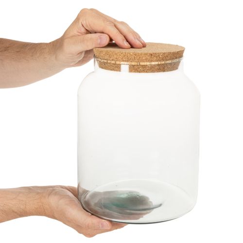 Flacon en verre recyclé avec bouchon en liège 24 cm transparent | Floristik24.fr