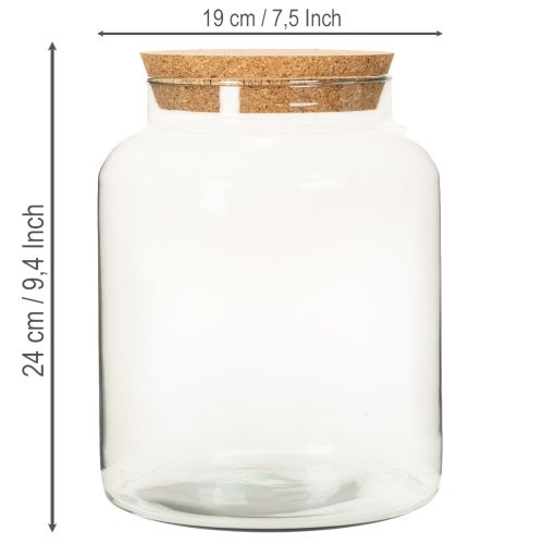 Flacon en verre recyclé avec bouchon en liège 24 cm transparent | Floristik24.fr