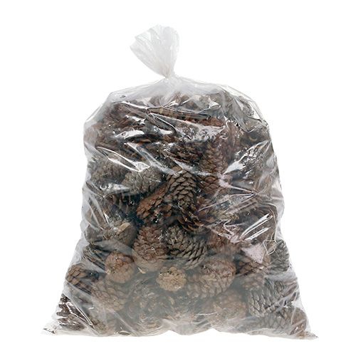 Article Cônes Halepensis naturels 5kg