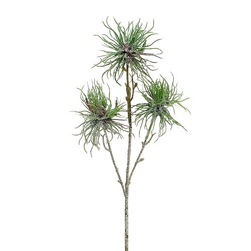 Floristik24 Branche d&#39;hamamélis 44cm vert, argent 1p