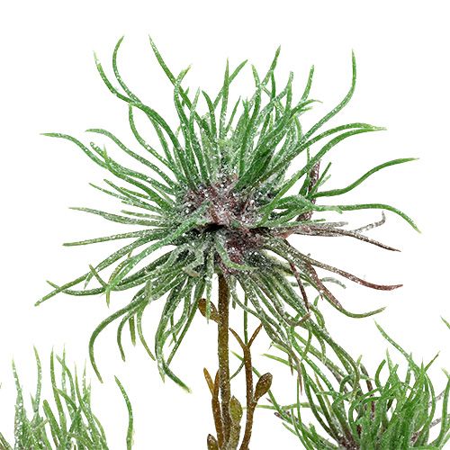 Floristik24 Branche d'hamamélis 44cm vert, argent 1p