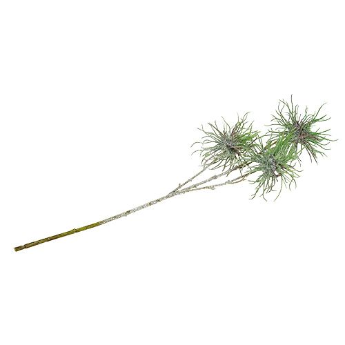 Floristik24 Branche d'hamamélis 44cm vert, argent 1p
