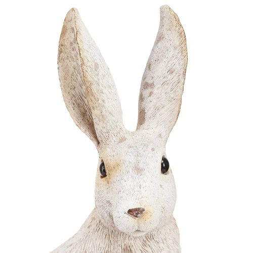 Floristik24 Lapin Assis Lapin de Pâques Décoration de Pâques Shabby Chic 16×13×35cm