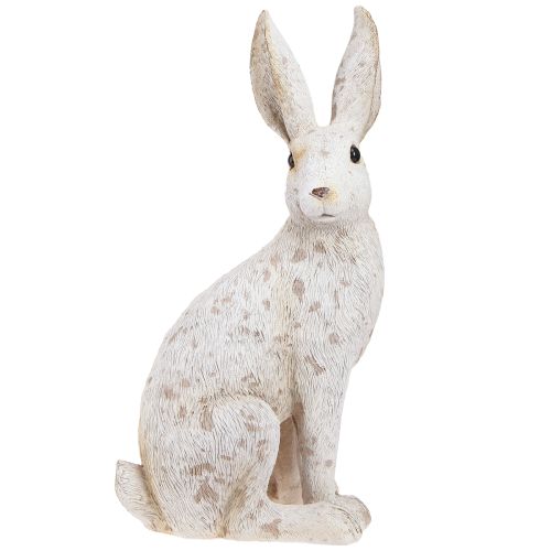 Floristik24 Lapin Assis Lapin de Pâques Décoration de Pâques Shabby Chic 16×13×35cm