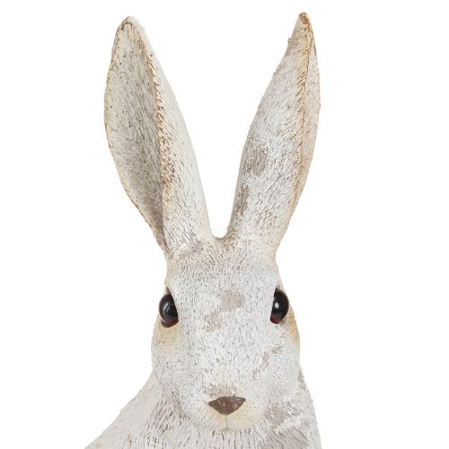 Floristik24 Figurine décorative de lapin assis Lapin de Pâques Shabby Chic 12×9×25cm