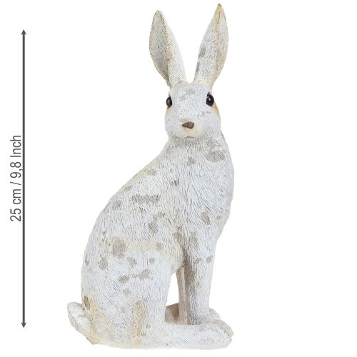 Floristik24 Figurine décorative de lapin assis Lapin de Pâques Shabby Chic 12×9×25cm