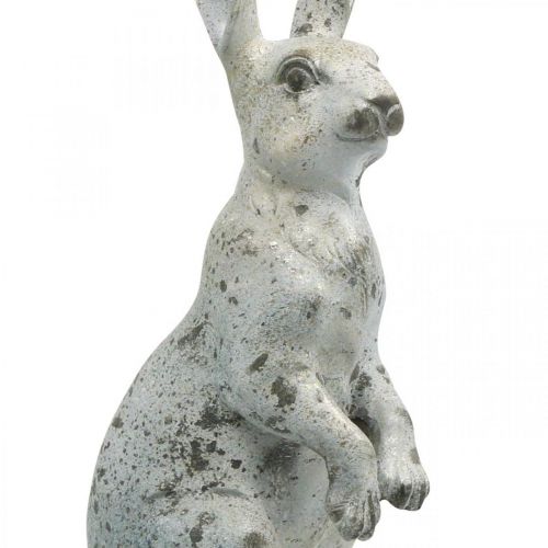 Floristik24 Lapin décoratif pour Pâques, décoration printanière aspect béton, figurine de jardin aux accents dorés, shabby chic H42cm