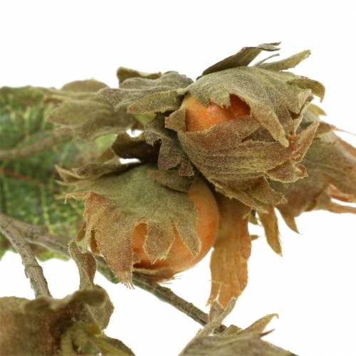 Floristik24 Branche de noisette verte / brune 84cm