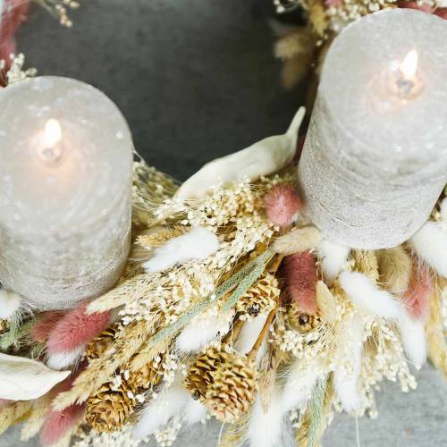 Floristik24 Fleuristerie sèche herbe de queue de lapin Lagurus brun rougeâtre 100g