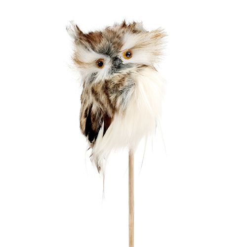 Floristik24 Hibou sur tige pour l’automne 13 cm L. 50 cm