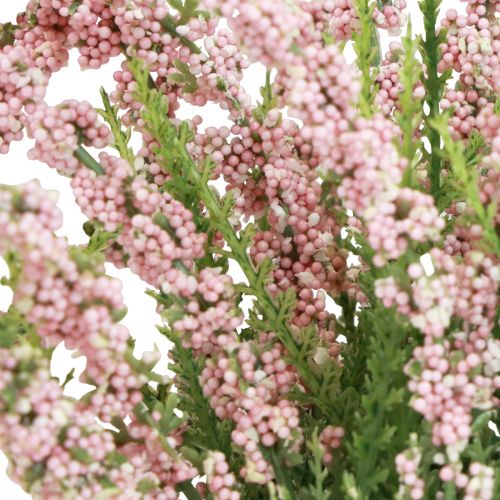 Floristik24 Balai bruyère Erika en pot rose H17cm lot de 2