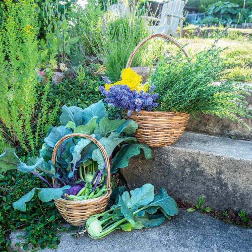 Article Panier anse en saule Ø20/24/30cm panier cadeau naturel lot de 3