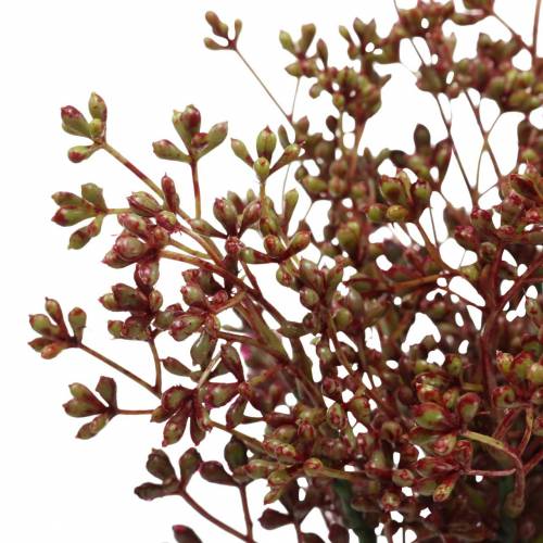 Floristik24 Branches de baies Bordeaux 40cm 4pcs