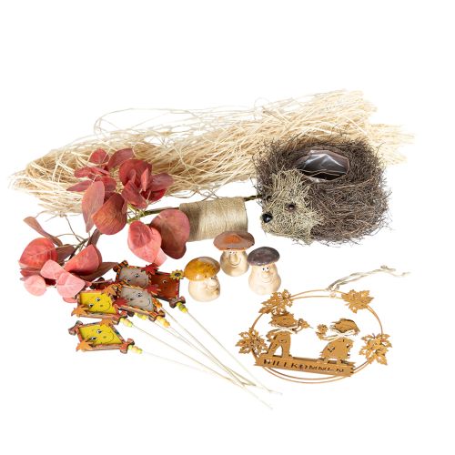 Coffret de décoration d&#39;automne Hérisson Champignons Dragon – Achetez un coffret de décoration pas cher