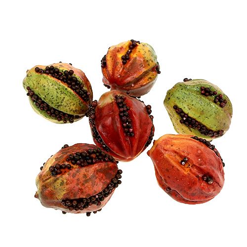 Floristik24 Fruits d&#39;automne 3,5cm rouge, marron 24 pcs