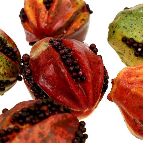 Floristik24 Fruits d&#39;automne 3,5cm rouge, marron 24 pcs