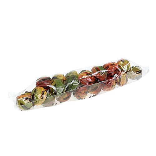 Floristik24 Fruits d&#39;automne 3,5cm rouge, marron 24 pcs