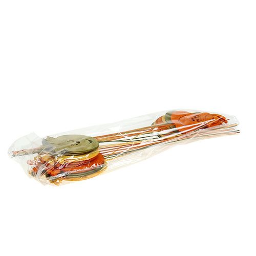 Floristik24 Plug d&#39;automne pomme, poire mixte cul. L33cm 12pcs