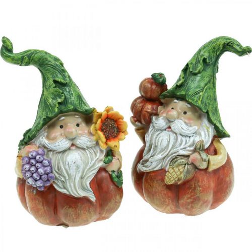Floristik24 Gnome d&#39;automne décoration citrouille gnome assorti H11.5cm 2pcs