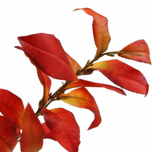 Floristik24 Branche d'automne 72cm