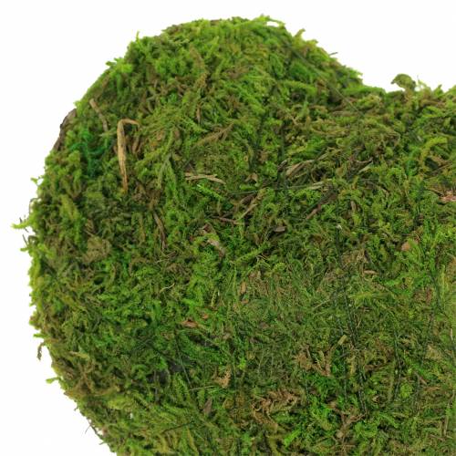 Floristik24 Coeur mousse vert 20cm 3pcs