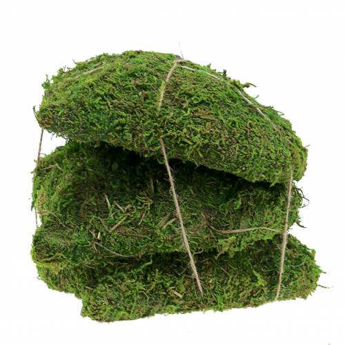 Floristik24 Coeur mousse vert 20cm 3pcs