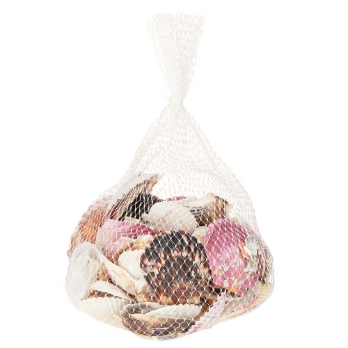 Article Coques vides en décor de coquillage naturel 3 cm–5 cm 300 g