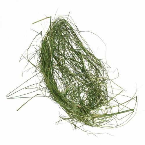 Floristik24 Manchette en herbe manchette d'autruche verte décoration printanière Ø20cm 6pcs