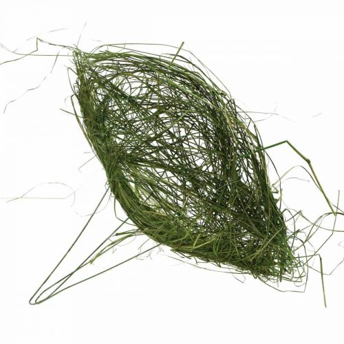 Floristik24 Manchette en herbe manchette d'autruche verte décoration printanière Ø20cm 6pcs