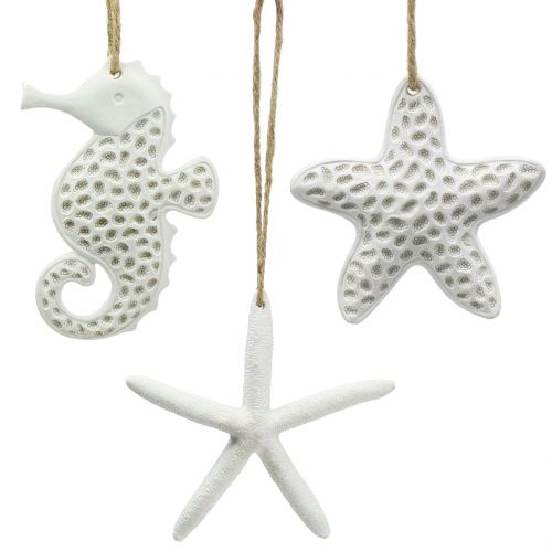 Floristik24 Décoration à accrocher étoile de mer, hippocampe 12cm 3pcs