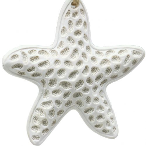 Article Décoration à accrocher étoile de mer, hippocampe 12cm 3pcs