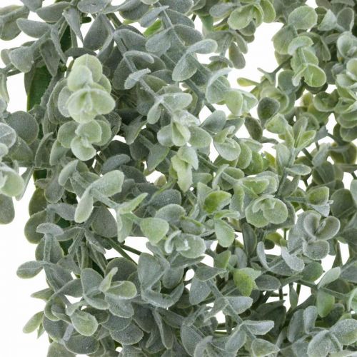 Floristik24 Décoration de mariage couronne d'eucalyptus artificielle Ø25cm