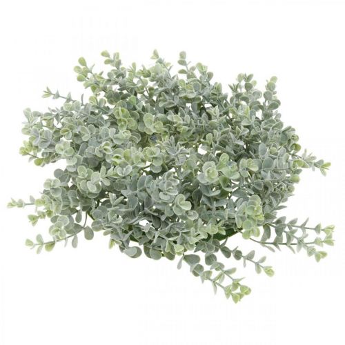 Floristik24 Décoration de mariage couronne d'eucalyptus artificielle Ø25cm