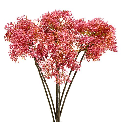 Floristik24 Branche de sureau rose 54.5cm 4pcs