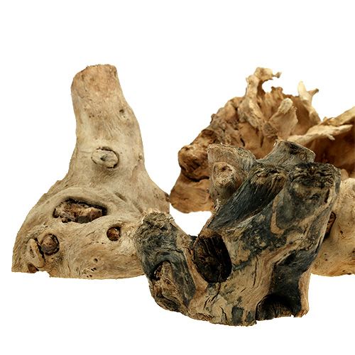 Floristik24 Racines d’ornement naturelles 8 - 10 cm 500 g