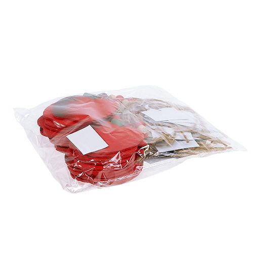 Floristik24 Pomme de crabe à suspendre 7cm rouge 24pcs