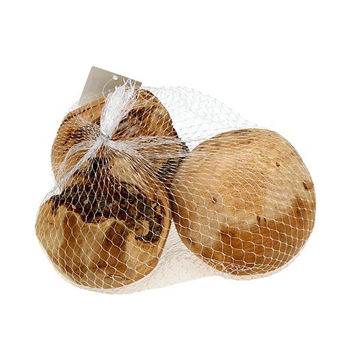 Floristik24 Boule en bois boule de sapin naturel Ø9cm 3 pcs