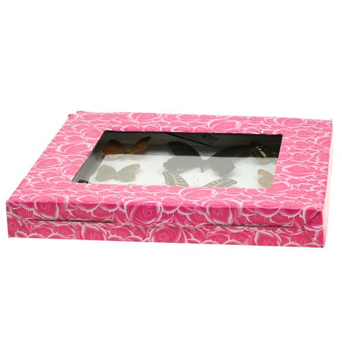 Floristik24 Papillon vitrine 28cm x 25cm