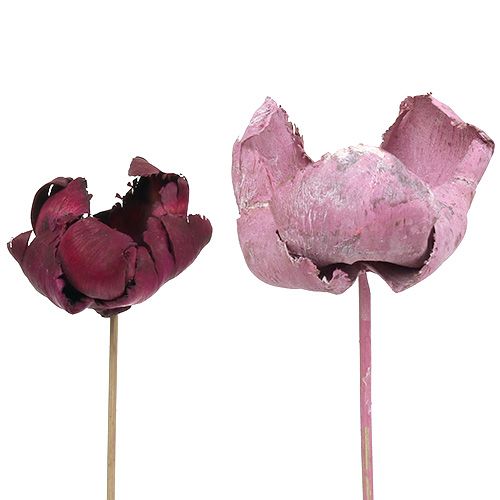 Floristik24 Fleur en bois, coupe palmier mix rose-erika 25 pcs