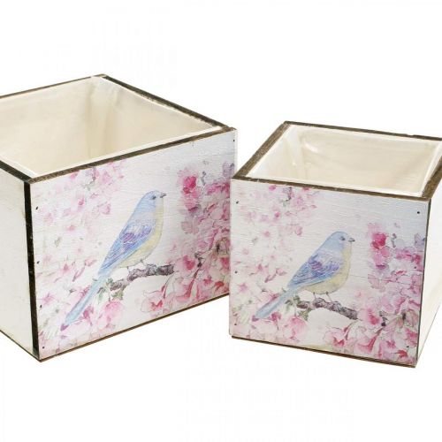 Floristik24 Bacs à plantes avec imprimé oiseau, jardinière, ressort, bac décoratif à planter look vintage L17/15cm H13/11cm lot de 2