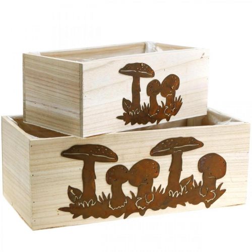 Coffret à plantes, boites en bois avec champignons, décoration automne, inox L40/30cm, lot de 2