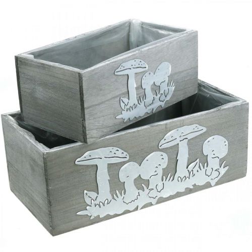 Floristik24 Coffret en bois champignon vénéneux, décorations d&#39;automne, décorations de jardin, bacs à plantes L40/30cm, lot de 2