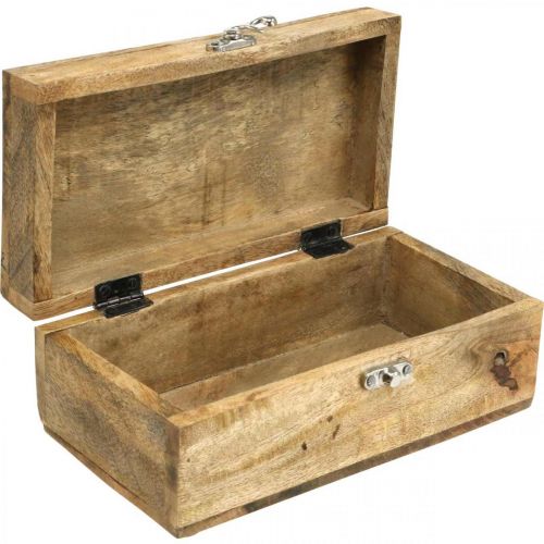 Floristik24 Boîte en bois avec couvercle boîte à bijoux boîte en bois 21.5×11×8.5cm