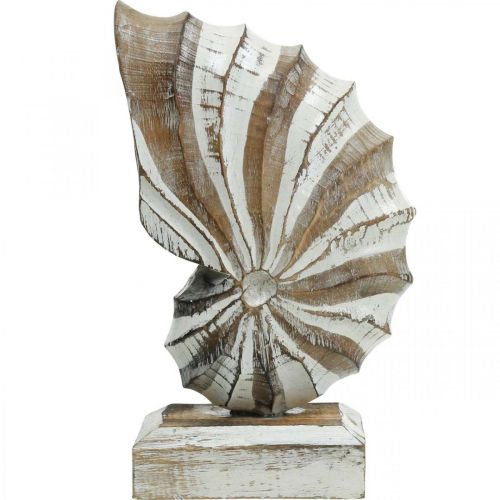 Floristik24 Support coquillage conque en bois déco maritime nature, blanc H28cm