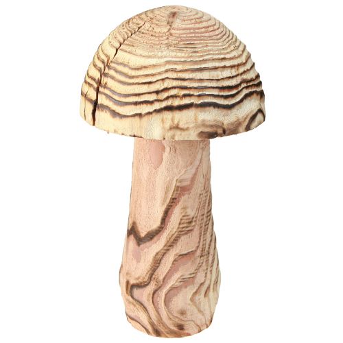 Floristik24 Champignon en bois à poser champignon décoratif bois Paulownia Ø15cm H28cm