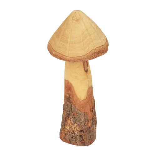 Floristik24 Champignons en bois décoration champignons décoration en bois décoration de table naturelle automne Ø11cm H28cm