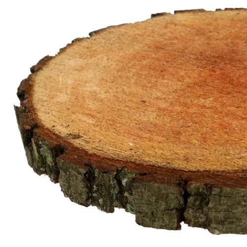 Floristik24 Véritable tranche de bois d’aulne Ø 20 - 24 cm