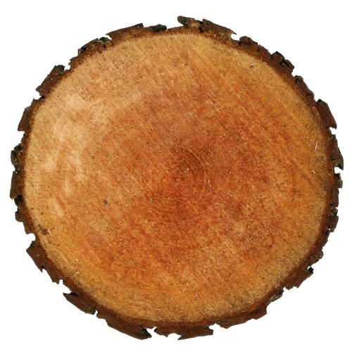 Floristik24 Véritable tranche de bois d’aulne Ø 20 - 24 cm